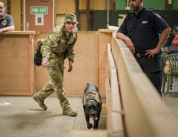 A black labrador moves forward as a military trainer walks behind directing the dog.  Two onlookers watch from outside of the wooden barriers.