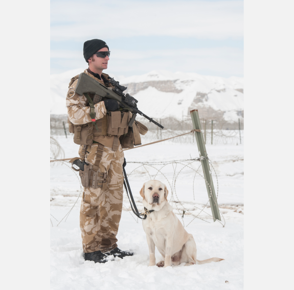 Yardley on duty in Afghanistan, March 2013, with handler LCPL Regan Blogg.