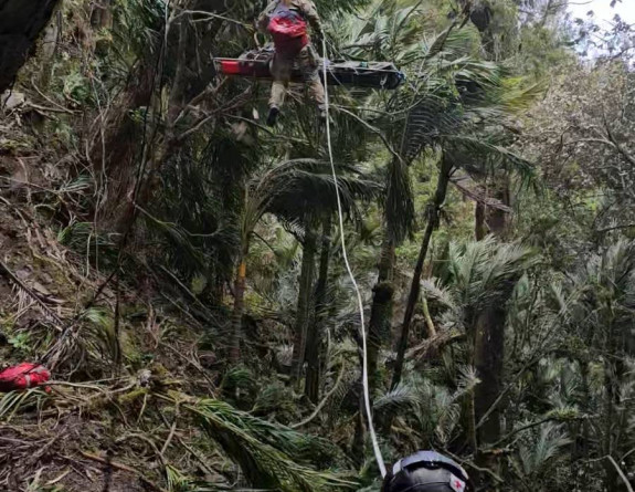 Air Force personnel conduct the winch of the patient.