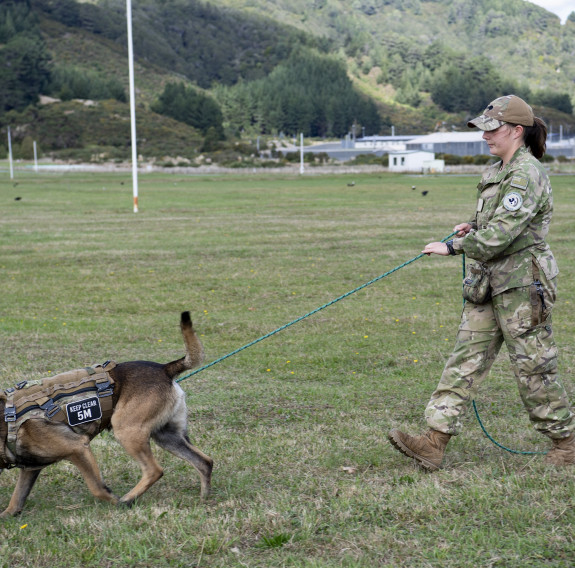 NZDF Military Working Dogs being tested across various terrain as they tracked a human scent