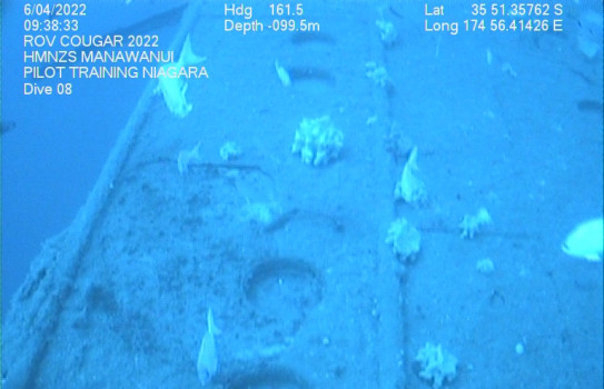 Underwater photo of the surface of RMS Niagara taken with the ROV.