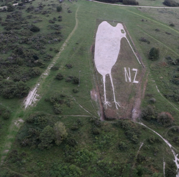 A large chalk Kiwi bird on side side of a hill in Wiltshire, England. The letters 'NZ' sit in line with the top of the Kiwi's legs.