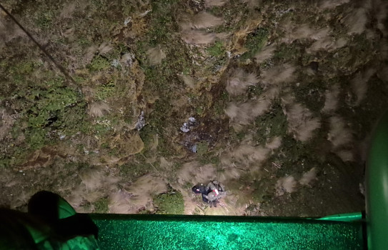 The perspective of the RNZAF loadmaster from a NH90 helicopter looking down at a hillside as a man and his dog are winched to safety.
