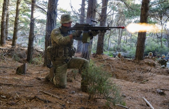 PTE Lapwood (1)