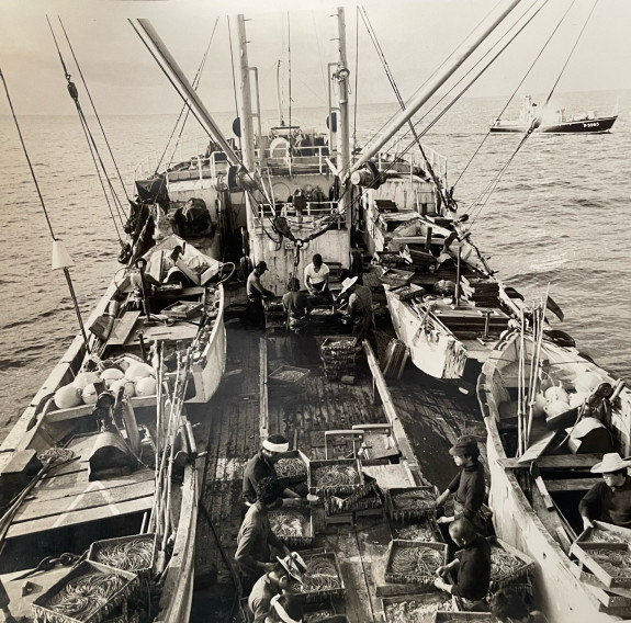 A sepia historic photo of a Japanese fishing vessel.