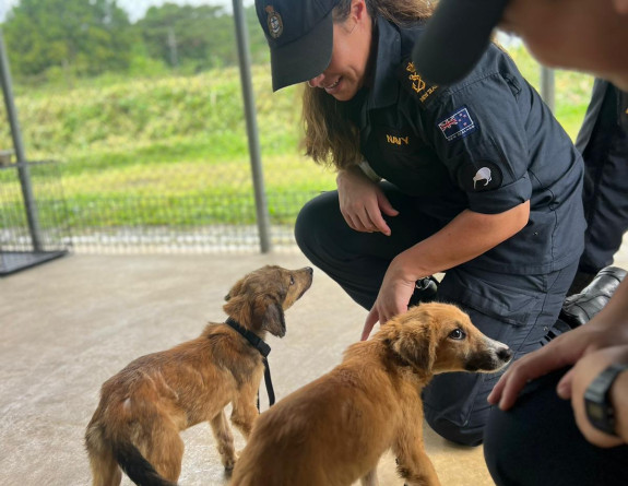 Two sailors in RNZ Navy uniform and baseball caps meet two puppies at the Animal Shelter in Apia.