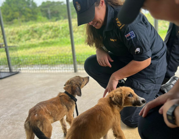 Two sailors in RNZ Navy uniform and baseball caps meet two puppies at the Animal Shelter in Apia.