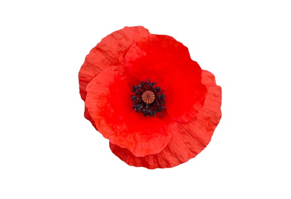 shutterstock 781795669